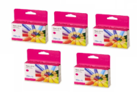 5 Pack Magenta Pigment Ink Cartridge (34ml) for the Primera LX1000e & LX2000e printer